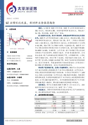 Q2业绩环比改善,新材料业务值得期待