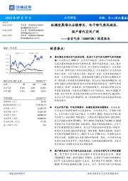 深度报告：纵横发展催化业绩增长，电子特气乘风破浪，国产替代空间广阔