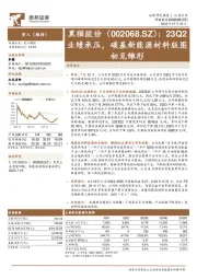 23Q2业绩承压，碳基新能源材料版图初见雏形