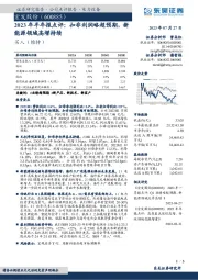 2023年半年报点评：扣非利润略超预期，新能源领域高增持续