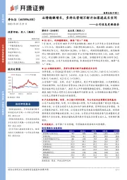 公司信息更新报告：业绩稳健增长，多样化营销不断开拓渠道成长空间