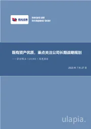 深度报告：既有资产优质，重点关注公司长期战略规划