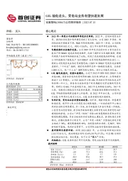 公司简评报告：GIL输电龙头，变电站业务有望快速发展