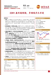 23H1盈利超预期，多领域齐头并进