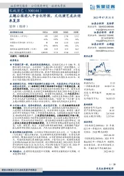 主题公园进入平台化阶段，文化演艺龙头迎来复苏