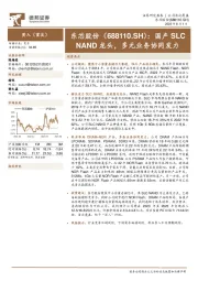 国产SLC NAND龙头，多元业务协同发力