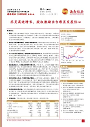 苏灵高速增长，股权激励出台彰显发展信心
