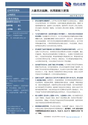 大象再次起舞,抗周期能力更强