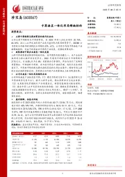 中药垂直一体化布局稀缺标的