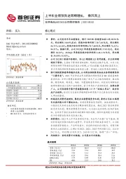 公司简评报告：上半年业绩预告逆周期增长，乘风而上