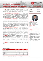 2023年半年度业绩报告点评：业绩韧性十足，稀缺的金融IT+AI应用双龙头