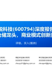 深度报告：华东危化品仓储龙头，商业模式创新重回增长通道