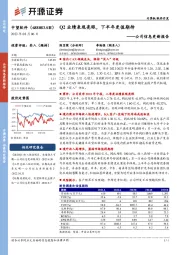 公司信息更新报告：Q2业绩表现亮眼，下半年更值期待