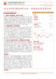 电力自动化领域领军企业,新能源业务发展加快
