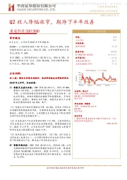 Q2收入降幅收窄，期待下半年改善