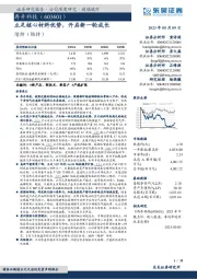 立足核心材料优势,开启新一轮成长