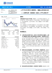 2023上半年业绩点评：上半年扣非净利大幅增长，储能业务贡献凸显