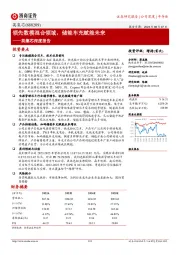 英集芯深度报告：领先数模混合领域， 储能车充赋能未来