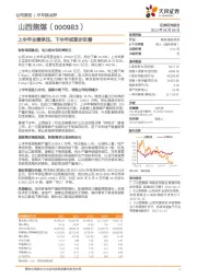上半年业绩承压,下半年或逐步改善