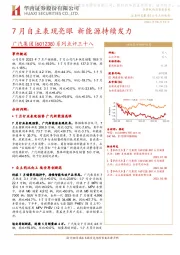 系列点评三十八：7月自主表现亮眼 新能源持续发力