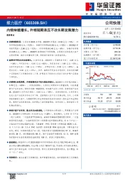 内销持续增长，外销短期承压不改长期发展潜力