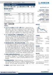 2023年中报点评:Q2盈利环比下降,2H预期销量高增长