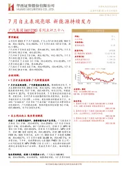 系列点评三十八：7月自主表现亮眼新能源持续发力