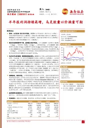 半年报利润持续高增,乌灵胶囊以价换量可期