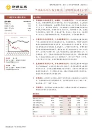 中镍高压龙头落子欧洲，前瞻布局储氢材料