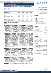 全球电踏车电机龙头，海外布局根基稳固