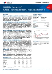 电子信息、环保材料业务持续发力,打造化工新材料定制平台