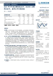 2023年半年度业绩快报点评:2023H1业绩同比扭亏,看好公司长期发展