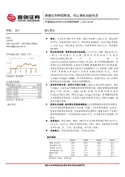 公司简评报告：渠道红利持续释放，向上增长动能充足