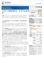 2023H1业绩短期承压，Q2环比改善显著