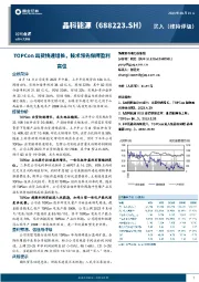 TOPCon出货快速增长，技术领先保障盈利高位