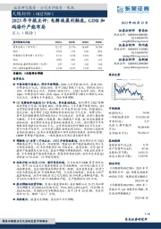 2023年中报点评：电解液盈利触底，GDR加码海外产能布局