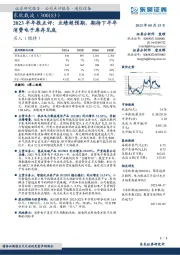 2023半年报点评：业绩超预期，期待下半年消费电子库存见底