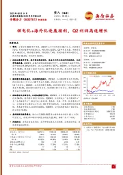 锂电化+海外化进展顺利,Q2利润高速增长
