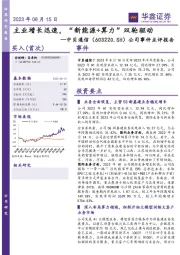 公司事件点评报告：主业增长迅速，“新能源+算力”双轮驱动