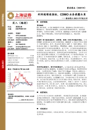普洛药业2023半年报点评:利润端增速强劲,CDMO业务崭露头角