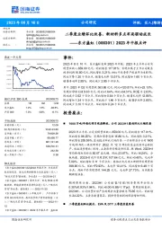 2023年中报点评:二季度业绩环比改善,新材料多点布局驱动成长