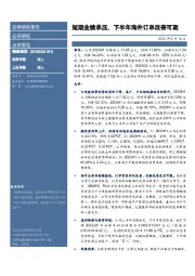 短期业绩承压,下半年海外订单改善可期
