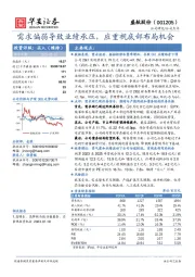 需求偏弱导致业绩承压，应重视底部布局机会