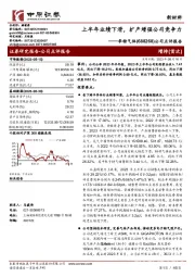 公司点评报告：上半年业绩下滑，扩产增强公司竞争力