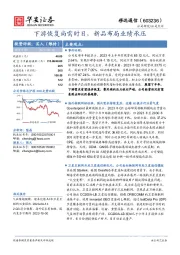 下游恢复尚需时日,新品布局业绩承压