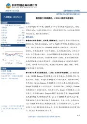 盈利能力持续提升,CDMO保持快速增长