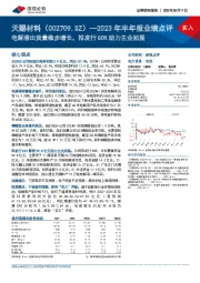 2023年半年报业绩点评：电解液出货量稳步增长，拟发行GDR助力主业拓展