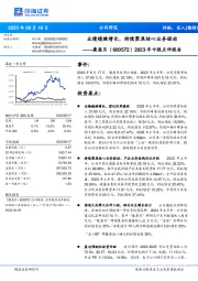 2023年中报点评报告：业绩稳健增长，持续聚焦核心业务驱动