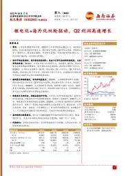 锂电化+海外化双轮驱动，Q2利润高速增长