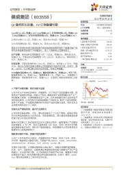 Q2盈利环比改善，H2订单稳增可期